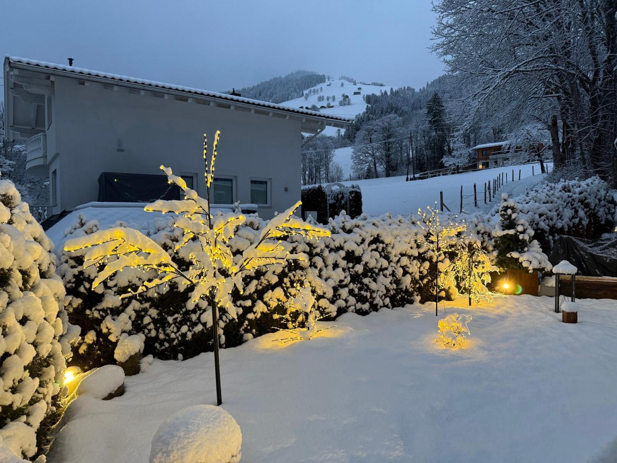 Alpine Lodge Brixen Бриксен-им-Тале Экстерьер фото